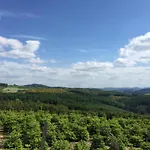 Near Area In Wehrstapel In Sauerland Apartmán Meschede