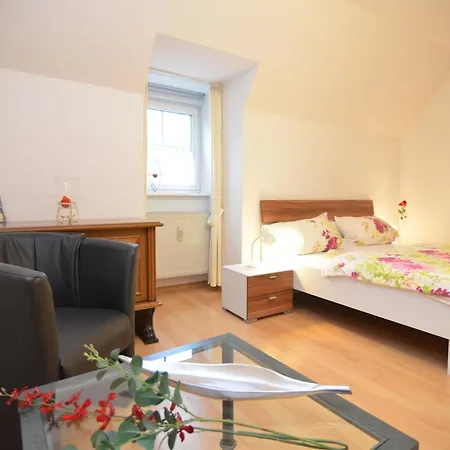 Near Area In Wehrstapel In Sauerland Apartment Meschede