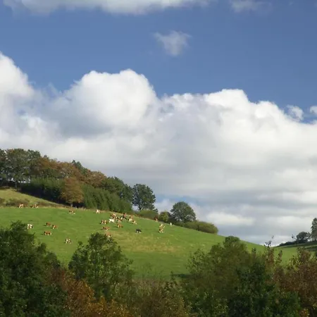 Near Area In Wehrstapel In Sauerland Apartamento