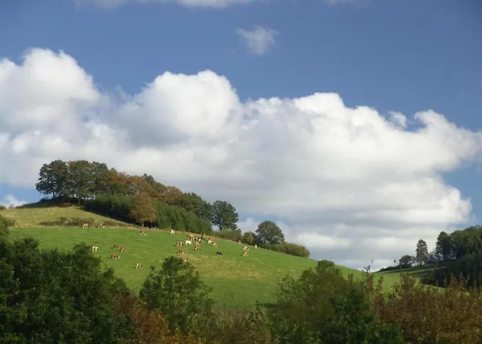 Near Area In Wehrstapel In Sauerland Lejlighed *