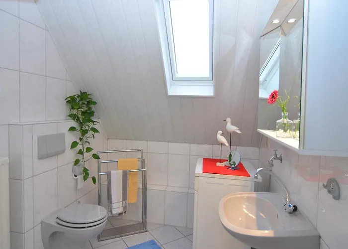 Near Area In Wehrstapel In Sauerland * Meschede