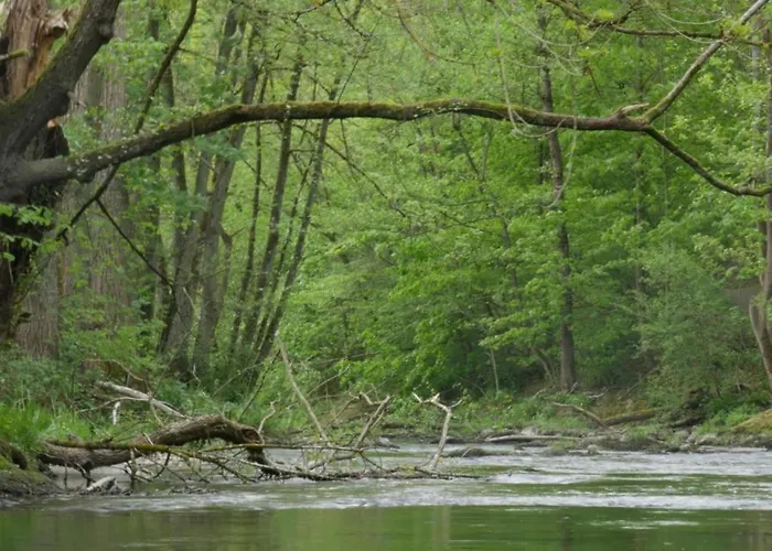 Near Area In Wehrstapel In Sauerland Meschede