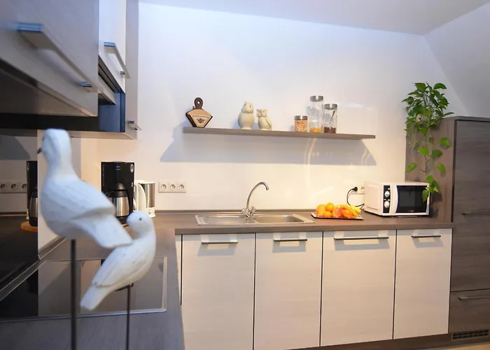 Near Area In Wehrstapel In Sauerland * Meschede