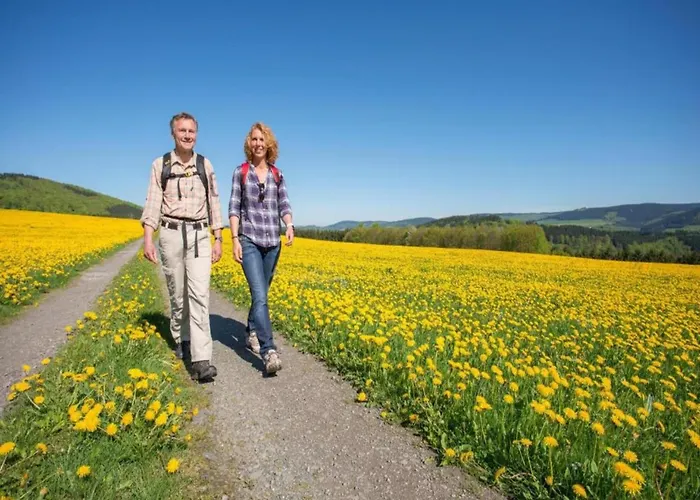 Near Area In Wehrstapel In Sauerland *