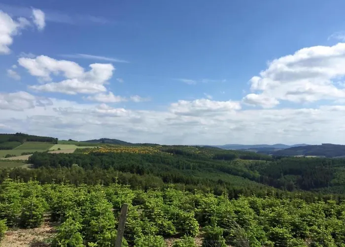 Near Area In Wehrstapel In Sauerland