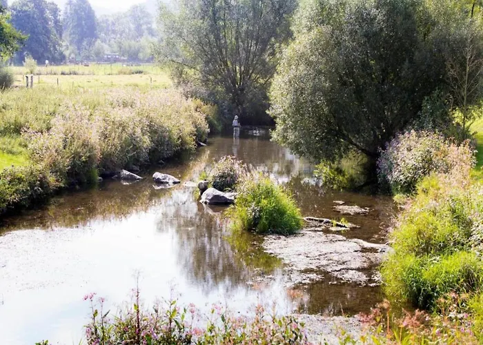 Near Area In Wehrstapel In Sauerland Meschede