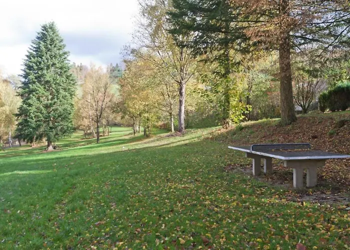 Near Area In Wehrstapel In Sauerland * Meschede